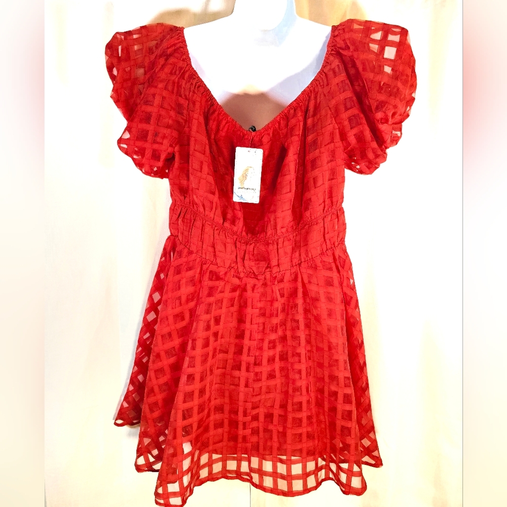 2/$20 Nwt PrettyGarden XL Lined Fashion Dress - Picture 6 of 9